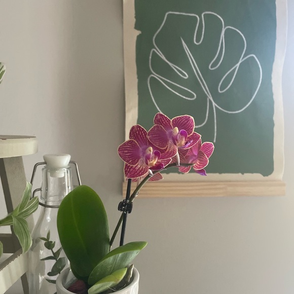 Meet your Posher, Jen - Picture 4 of 6